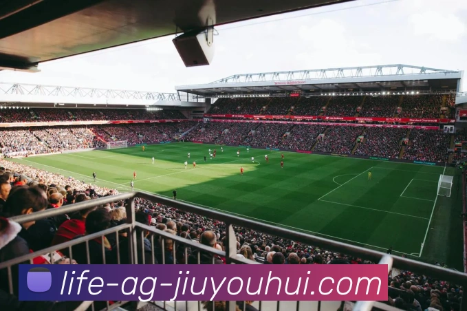 AG九游会官网平台生态图